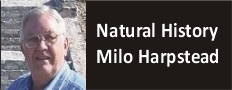 Natural History Collection