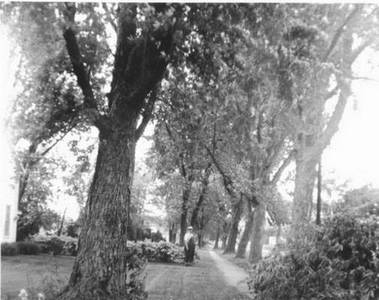 Robert in front of home in June, 1958